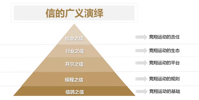 開(kāi)爾鴿業(yè)品牌全案服務(wù)