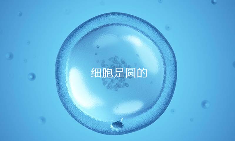 中至生物：大道至簡(jiǎn)·品牌百萬級(jí)LOGO升級(jí)引爆品牌氣質(zhì)！