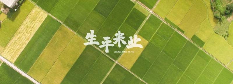 口碑引客，歐賽斯&生平米業(yè)開(kāi)啟品牌戰(zhàn)略合作