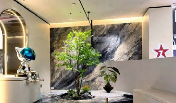 大將軍陶瓷全案：戰(zhàn)略落地一年，招商200+，金額破億元
