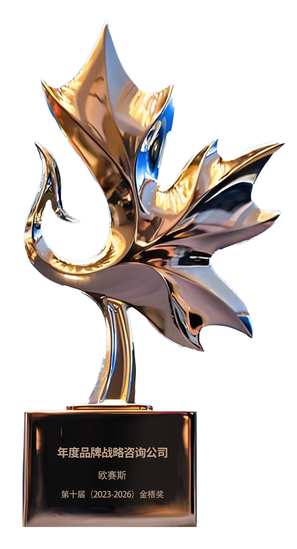 2024年榮獲第十屆金梧獎(jiǎng)年度品牌戰(zhàn)略咨詢公司